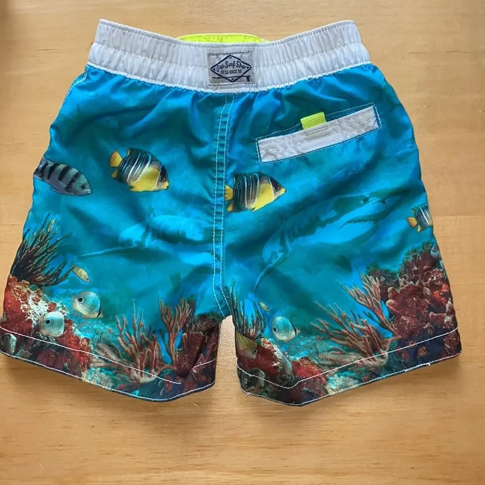 Gap Kids Boys Swim Trunks Underwater Reef Fish Blue Board Shorts (Size 2T)